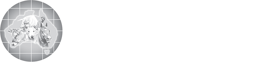 International-AHP